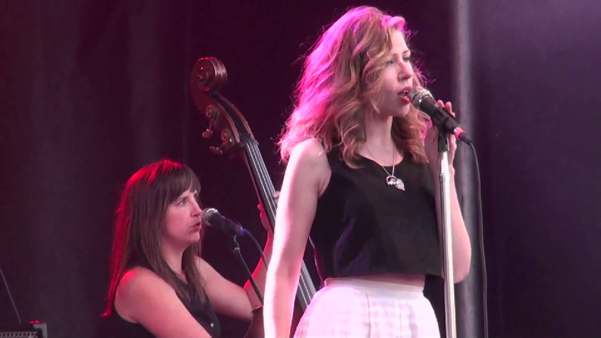 lake street dive canalside what