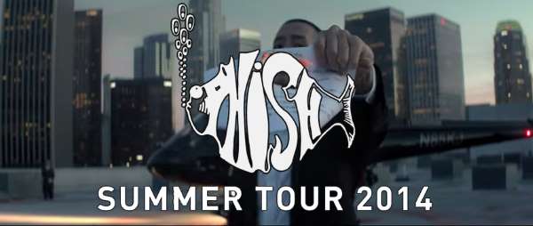 phishsummer