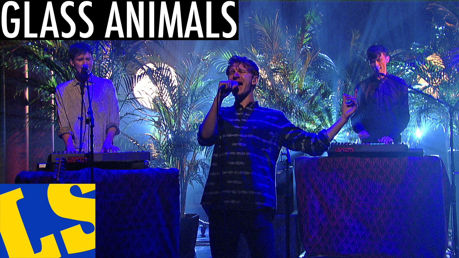dvr rewind glass animals on lett