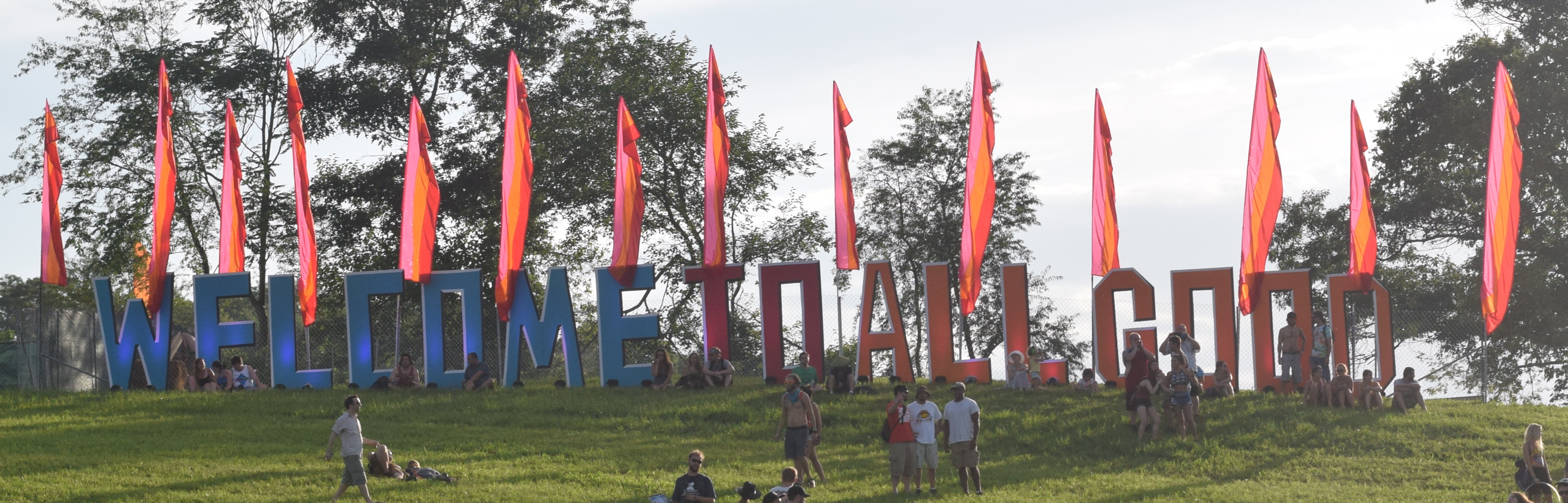 Festie View 4