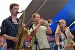 A Great Year at The Great Blue Heron Music Festival 84 The Buddhahood 11