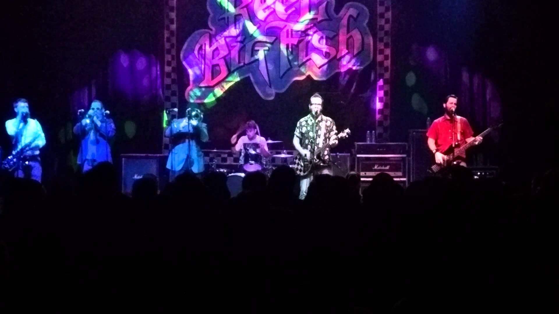 Reel Big Fish- In the Pit LIVE 2/6/16 @ Buffalo, NY 23 reel big fish in the pit live 26