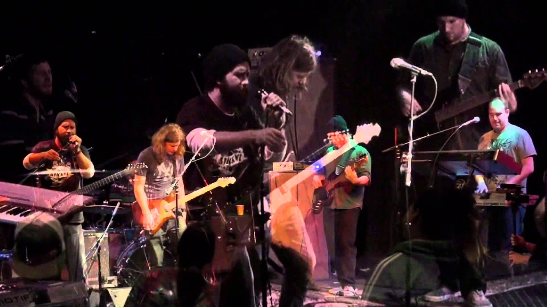 heavy pets return to buffalo jul