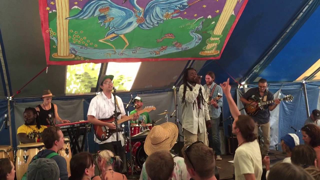mosiac foundation blue heron fes