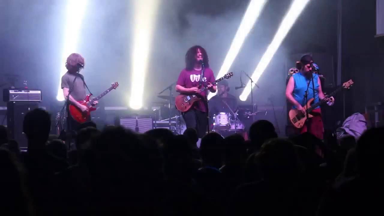 watch now pigeons playing ping p
