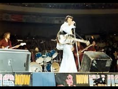 flashback elvis presley buffalo