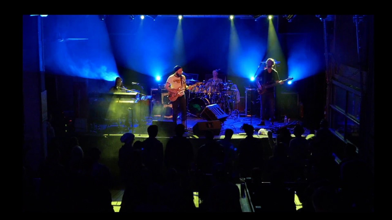 the lizards phish tribute buffal