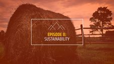 beyond the borderland sustainabi