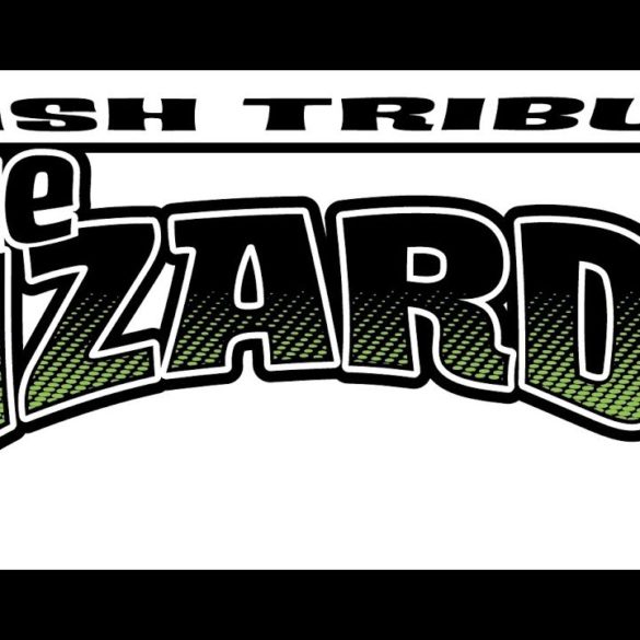 the lizards buffalo iron works