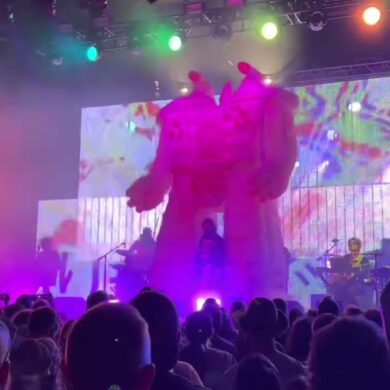 borderland music festival in 12