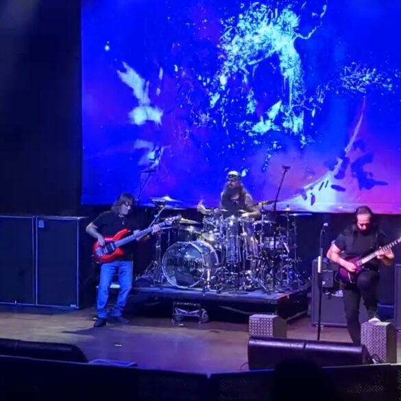 terminal velocity live john petr