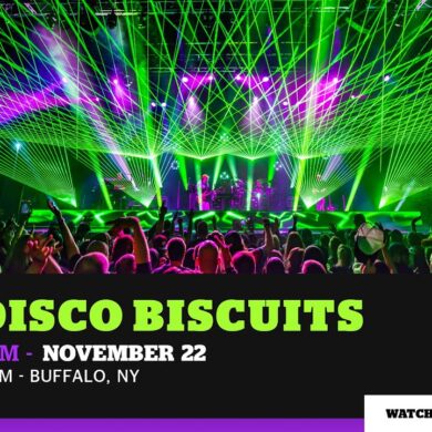 the disco biscuits 11 22 25 buffalo ny