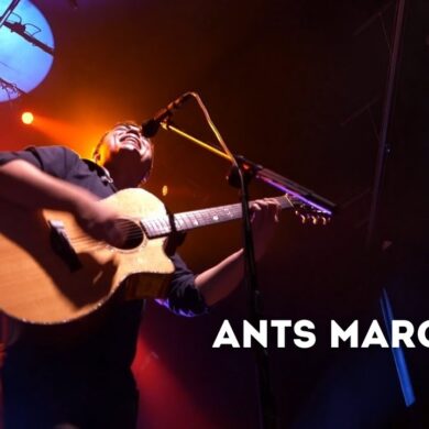 ants marching 2 15 25 buffalo ny