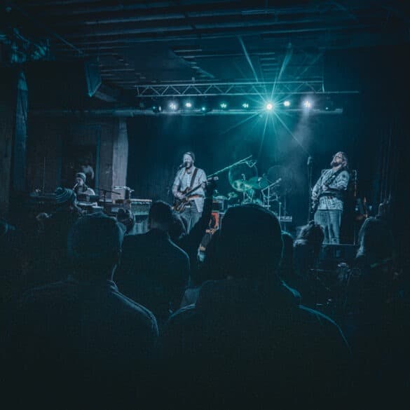 The Lizards 10