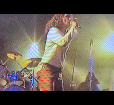 the tails revolution song live